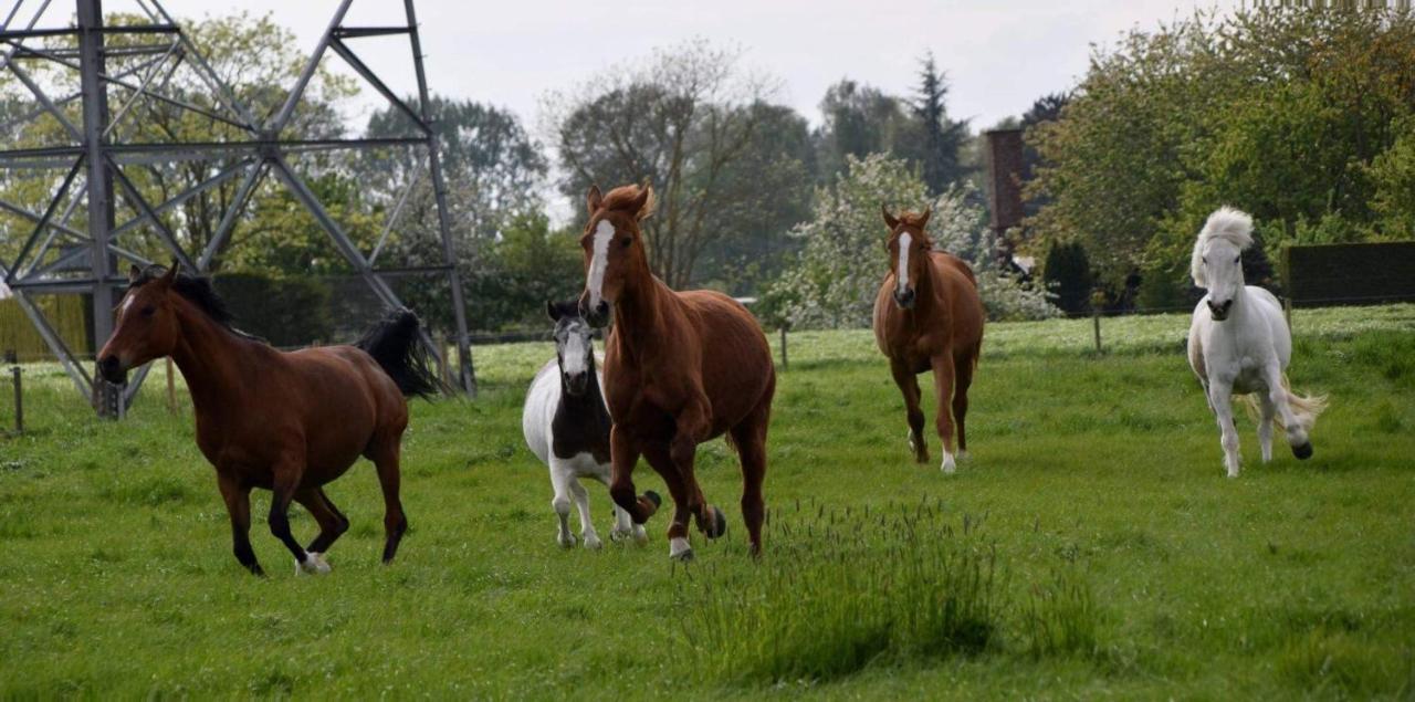 Ferme De La Forterie Verlinghem Екстериор снимка